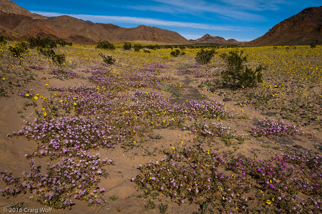 Death Valley National Park, CA