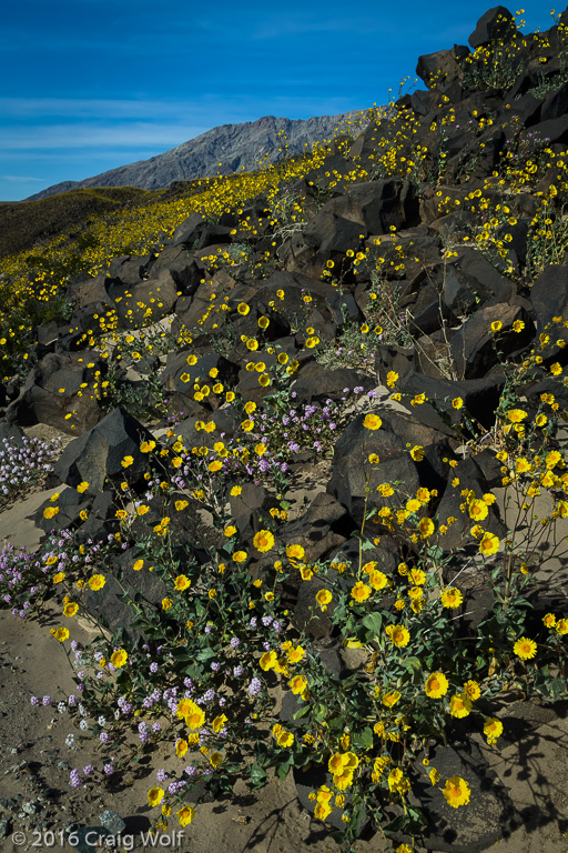 Death Valley National Park, CA