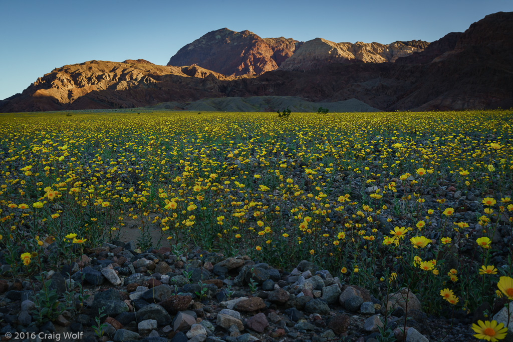 Death Valley National Park, CA