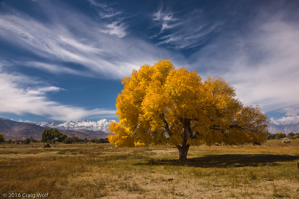 Bishop, CA