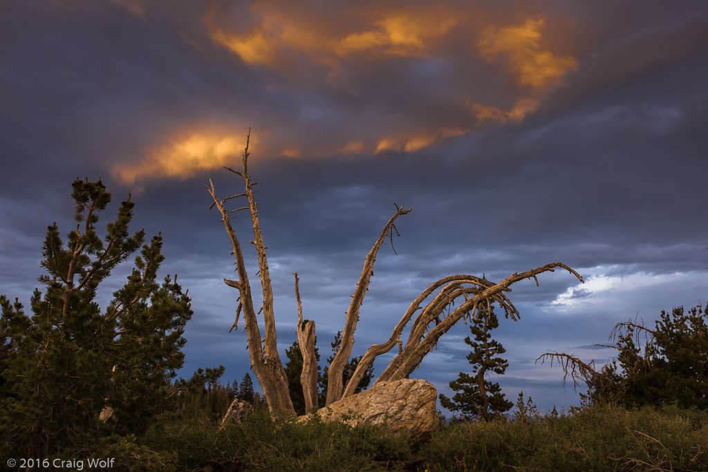 Mammoth Lakes, CA