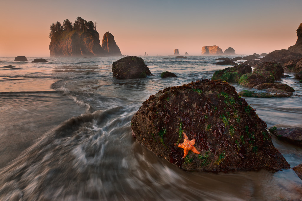 Olympic National Park, WA