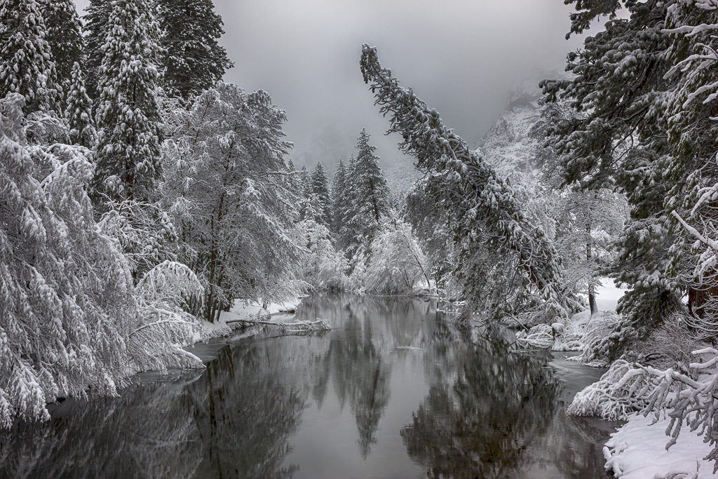 Yosemite National Park, CA