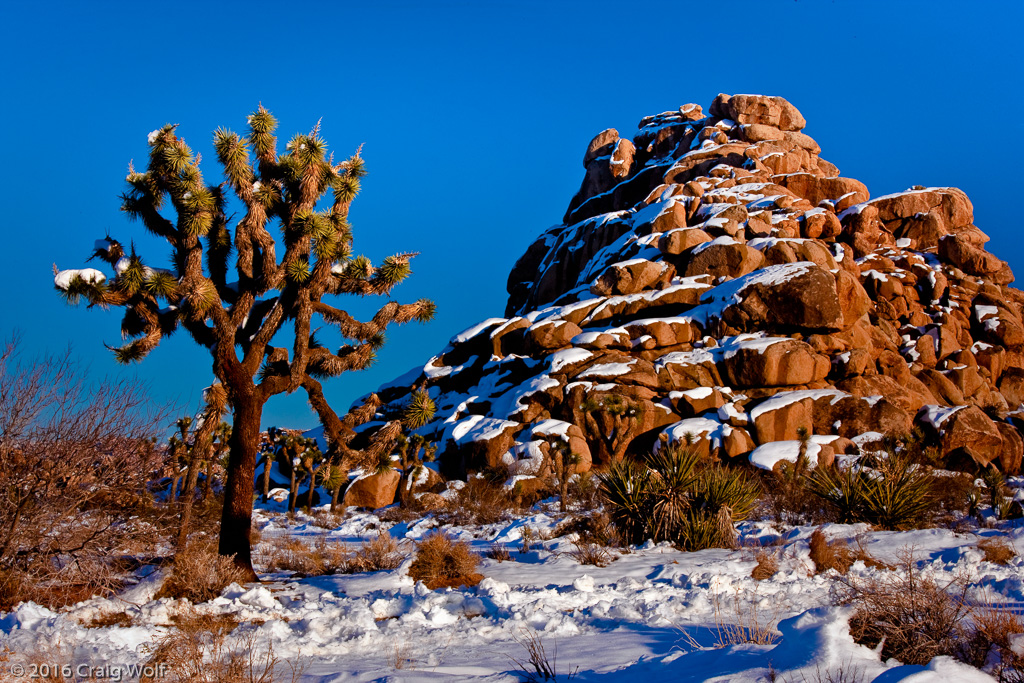 Joshua Tree National Park, CA