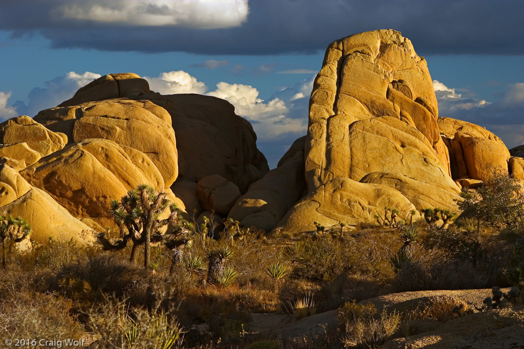 Joshua Tree National Park, CA