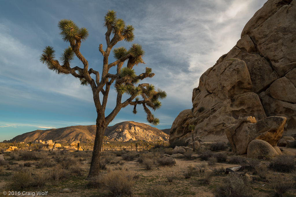 Joshua Tree National Park, CA