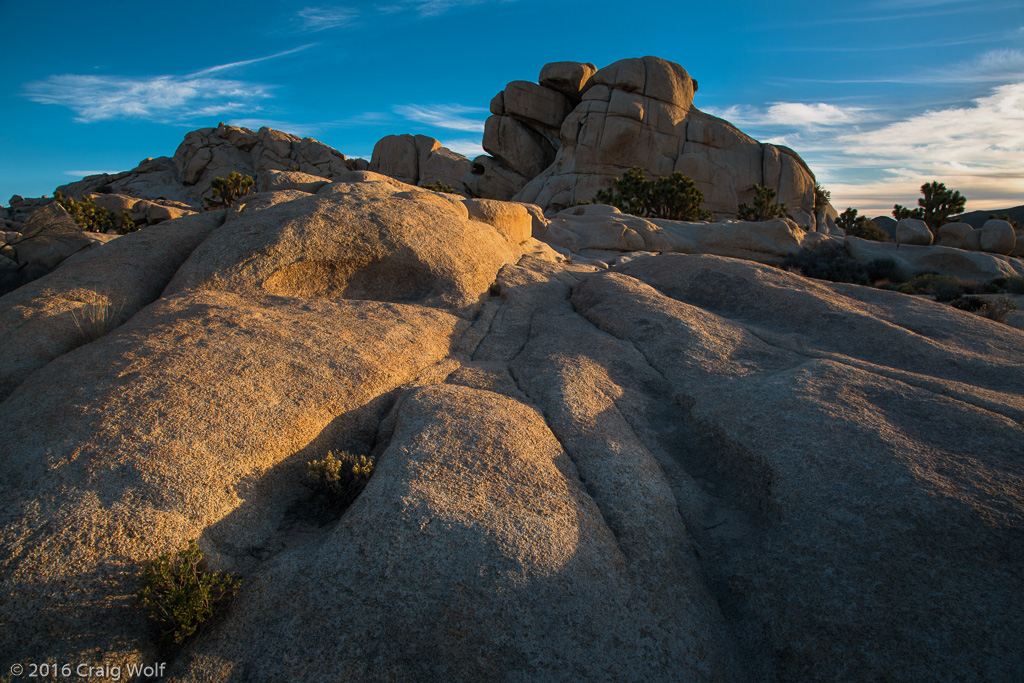 Joshua Tree National Park, CA