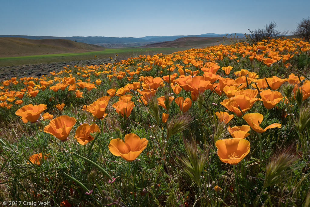 Antelope Valley, CA