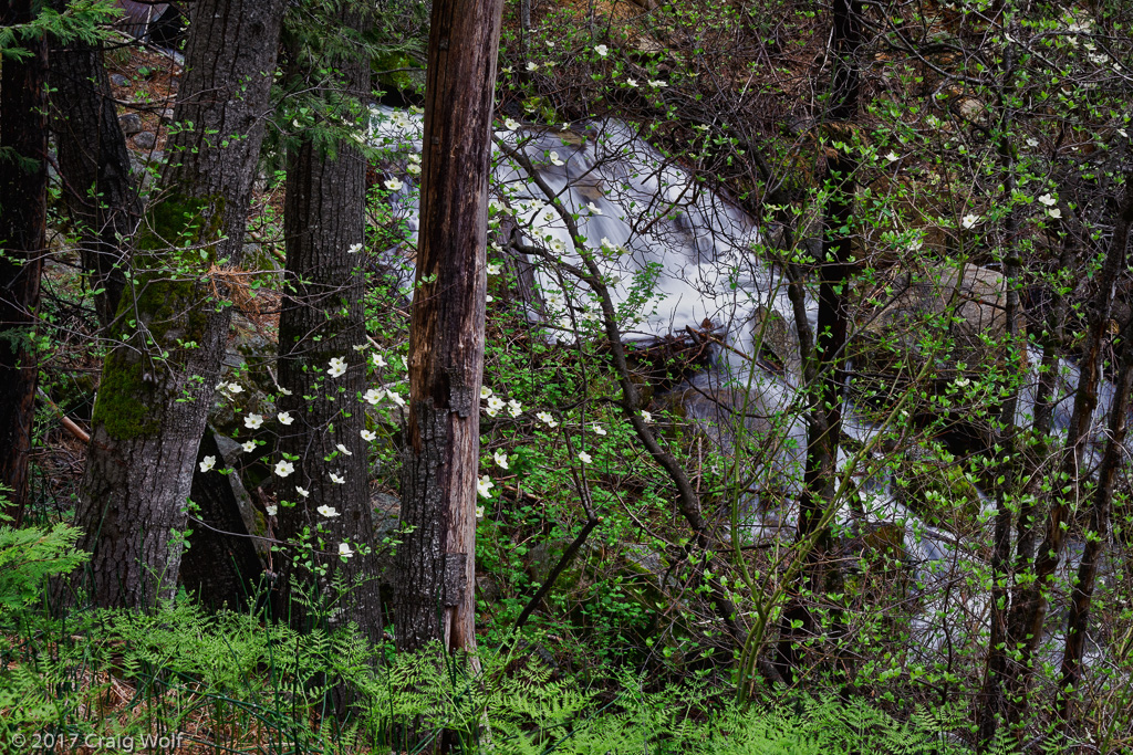 Yosemite National Park, CA