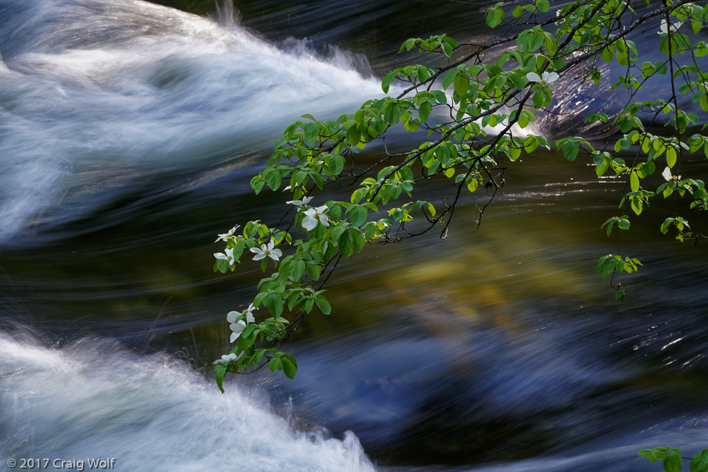 Yosemite National Park, CA