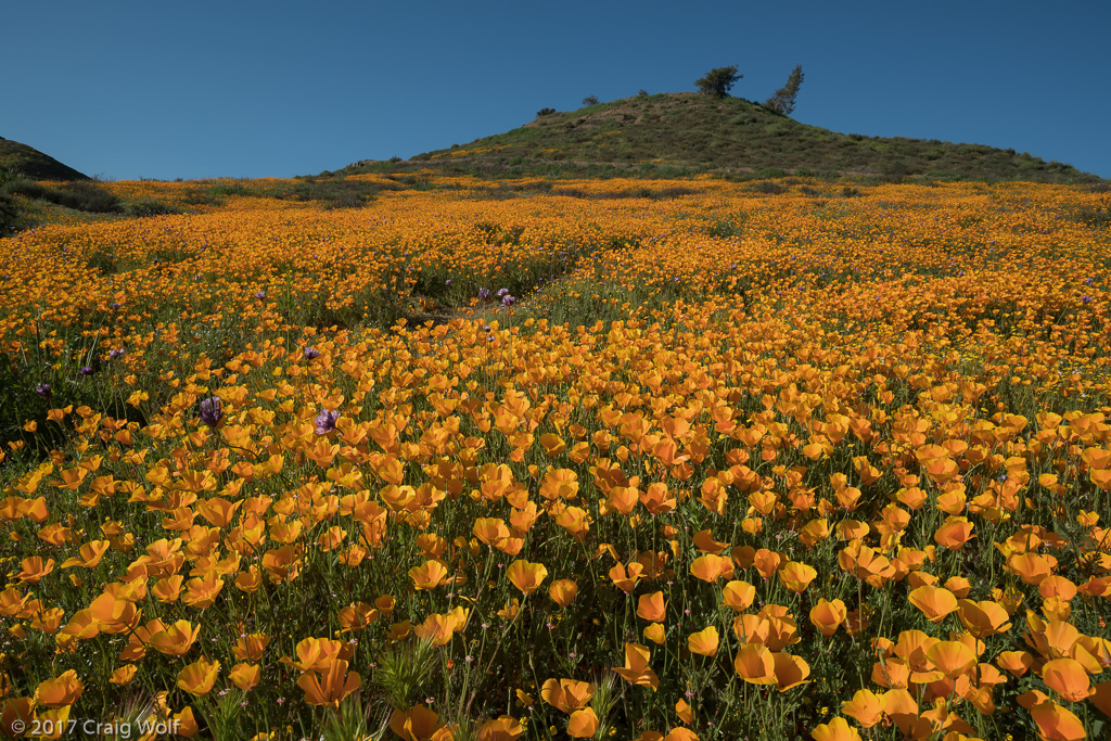 Walker Canyon, CA