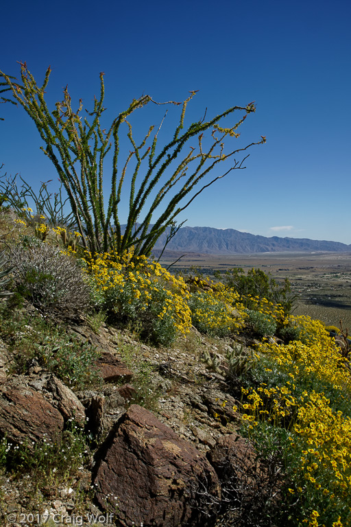 Anza-Borrego Desert State Park, CA