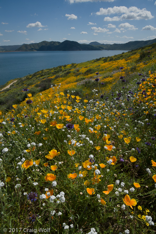 Diamond Valley Lake, CA