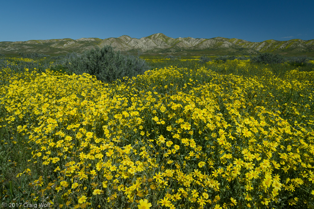 Carrizo Plain National Monument, CA