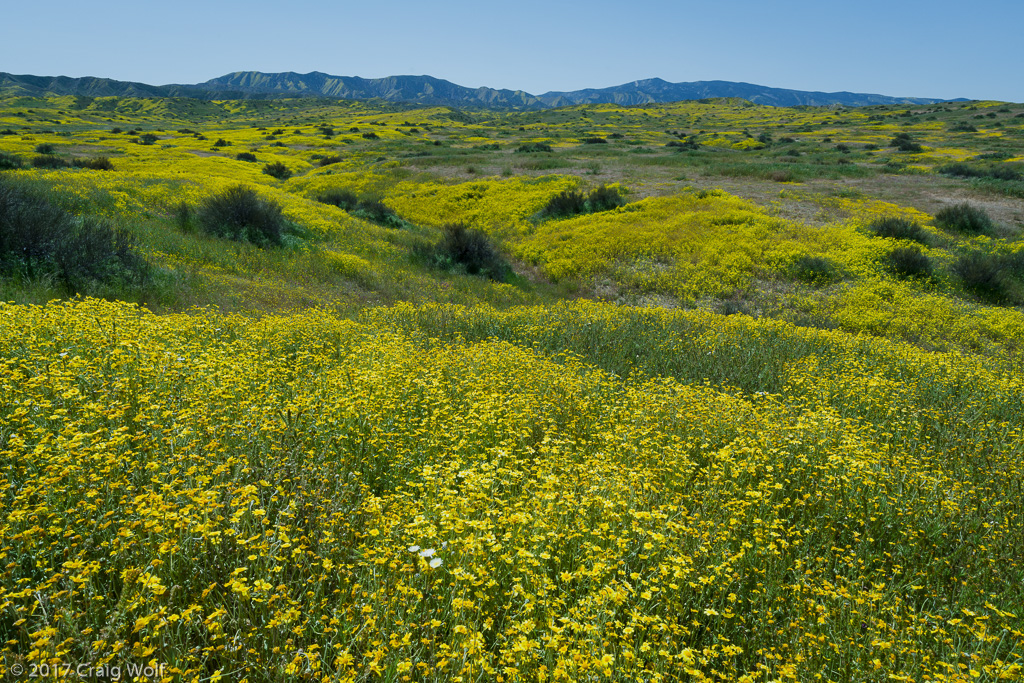 Carrizo Plain National Monument, CA