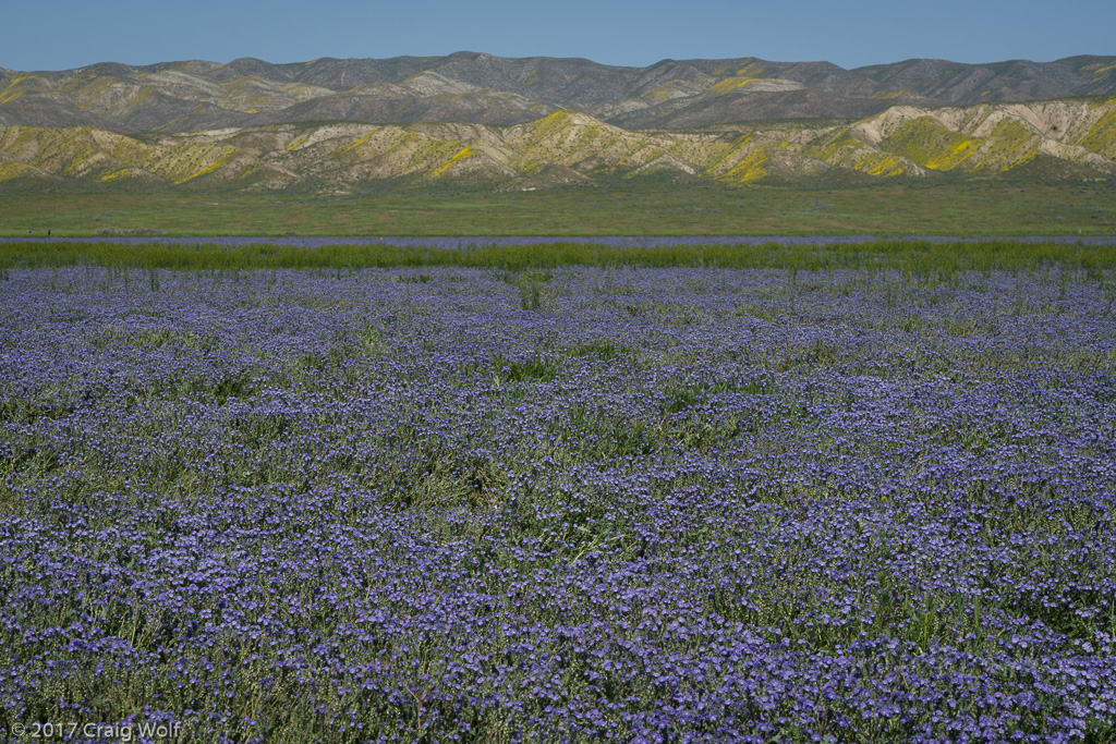 Carrizo Plain National Monument, CA