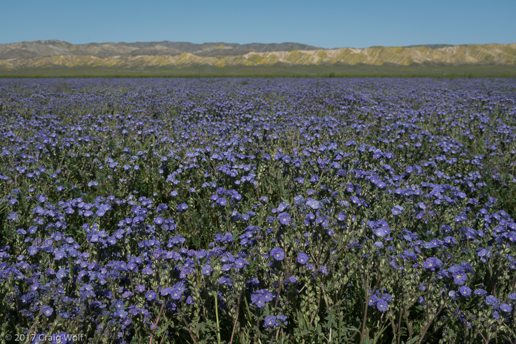 Carrizo Plain National Monument, CA