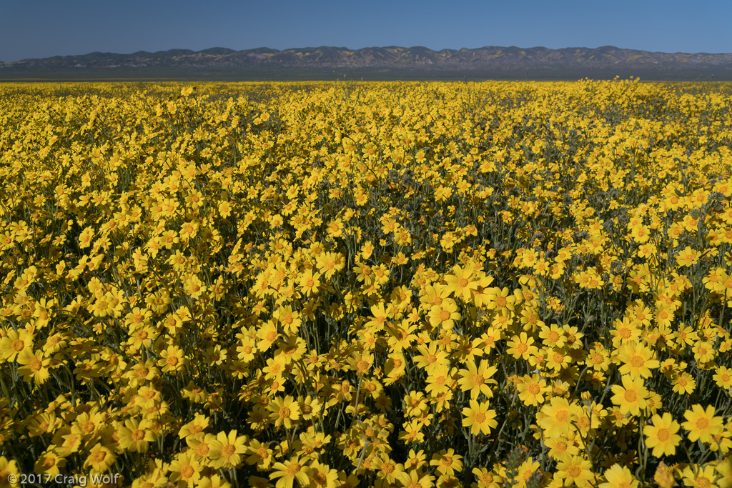 Carrizo Plain National Monument, CA