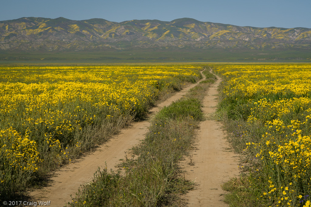 Carrizo Plain National Monument, CA