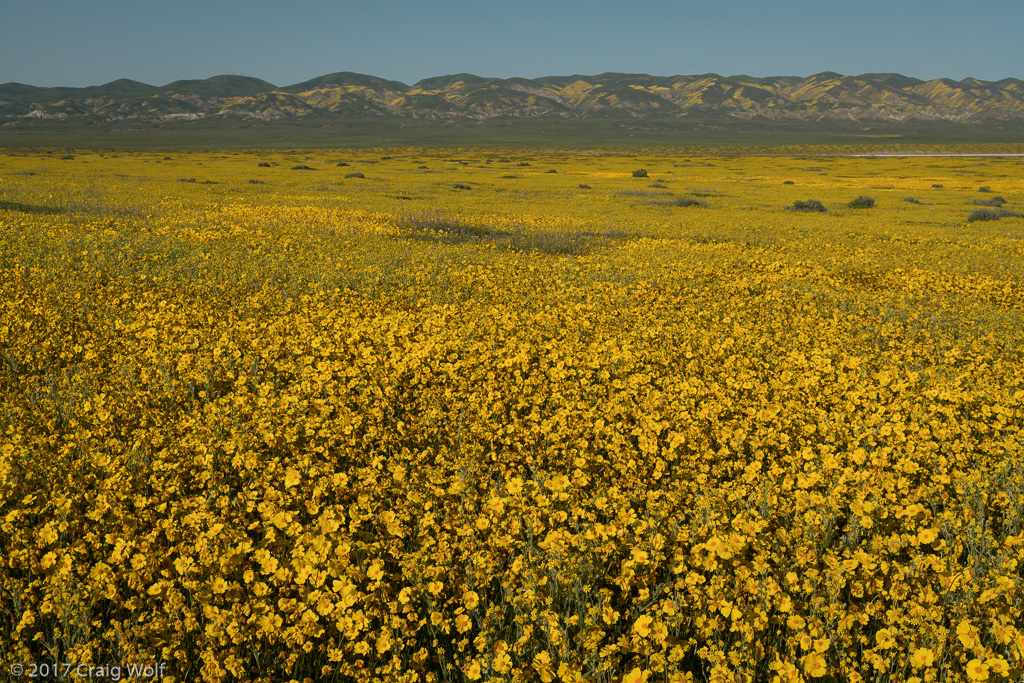 Carrizo Plain National Monument, CA