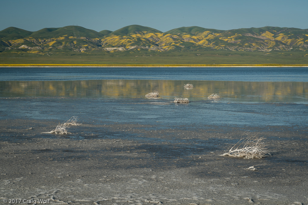 Carrizo Plain National Monument, CA