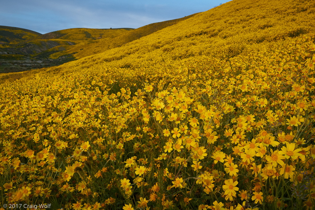 Carrizo Plain National Monument, CA