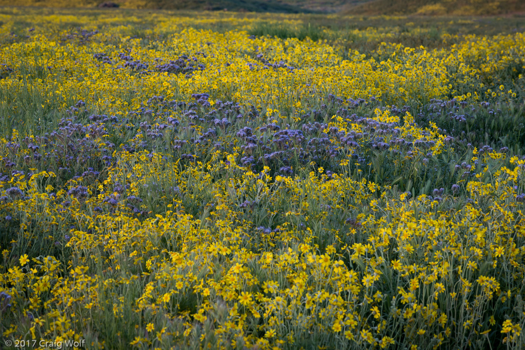 Carrizo Plain National Monument, CA