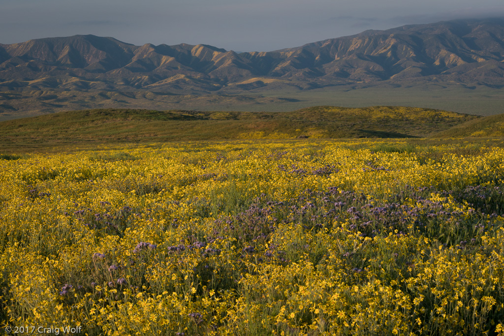 Carrizo Plain National Monument, CA