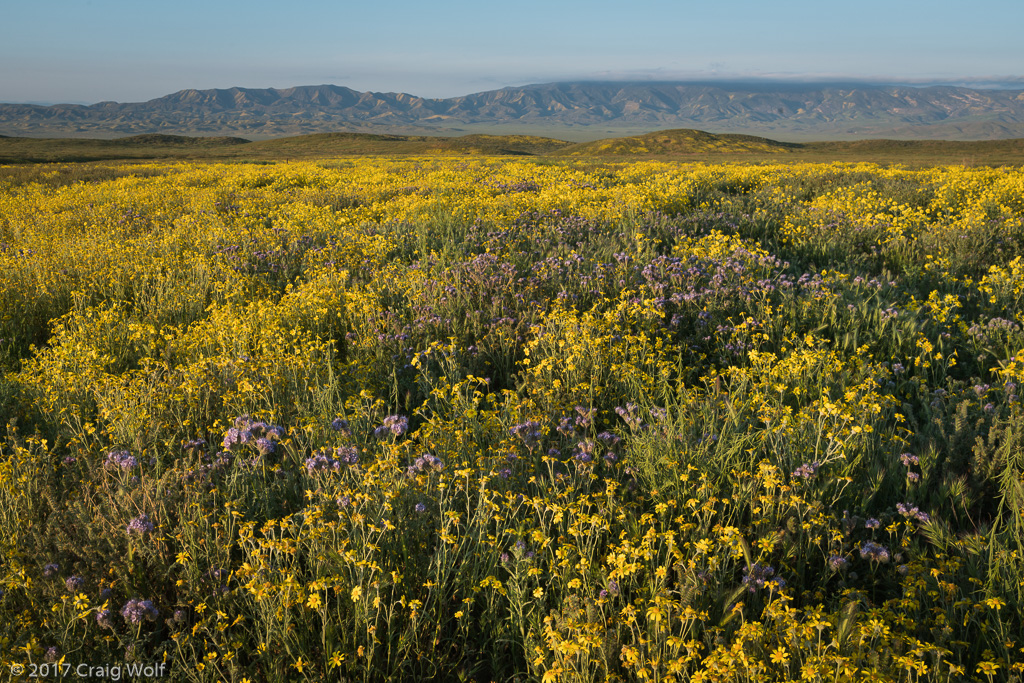 Carrizo Plain National Monument, CA