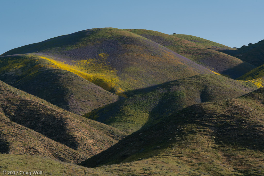 Carrizo Plain National Monument, CA