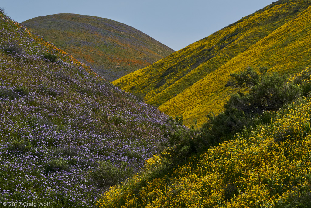 Carrizo Plain National Monument, CA