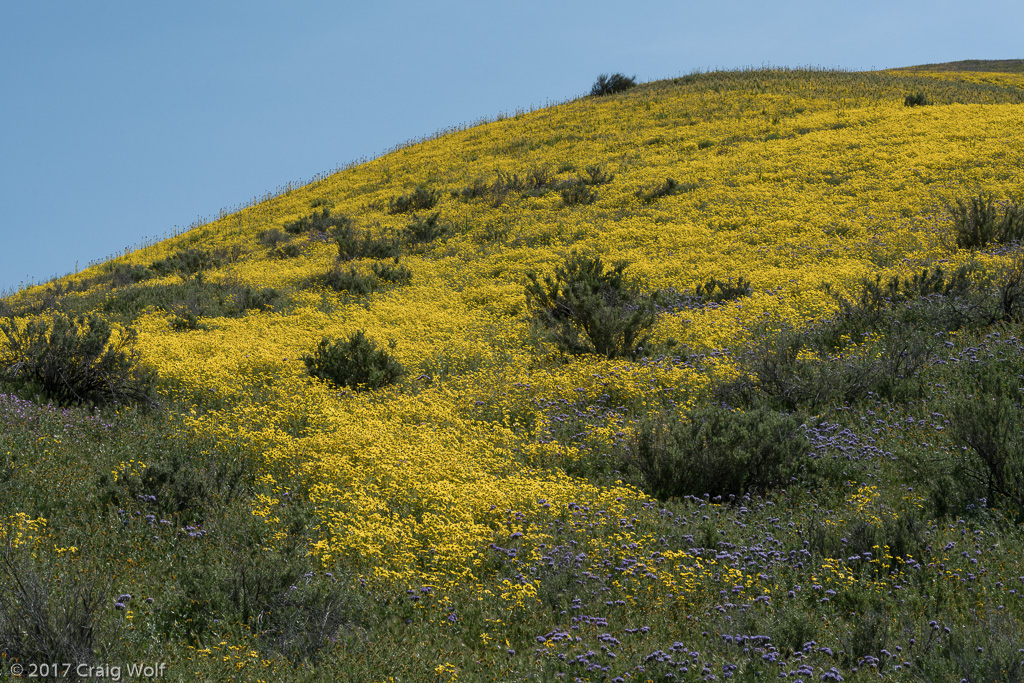 Carrizo Plain National Monument, CA