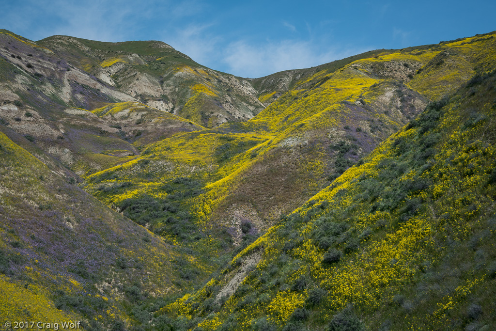 Carrizo Plain National Monument, CA