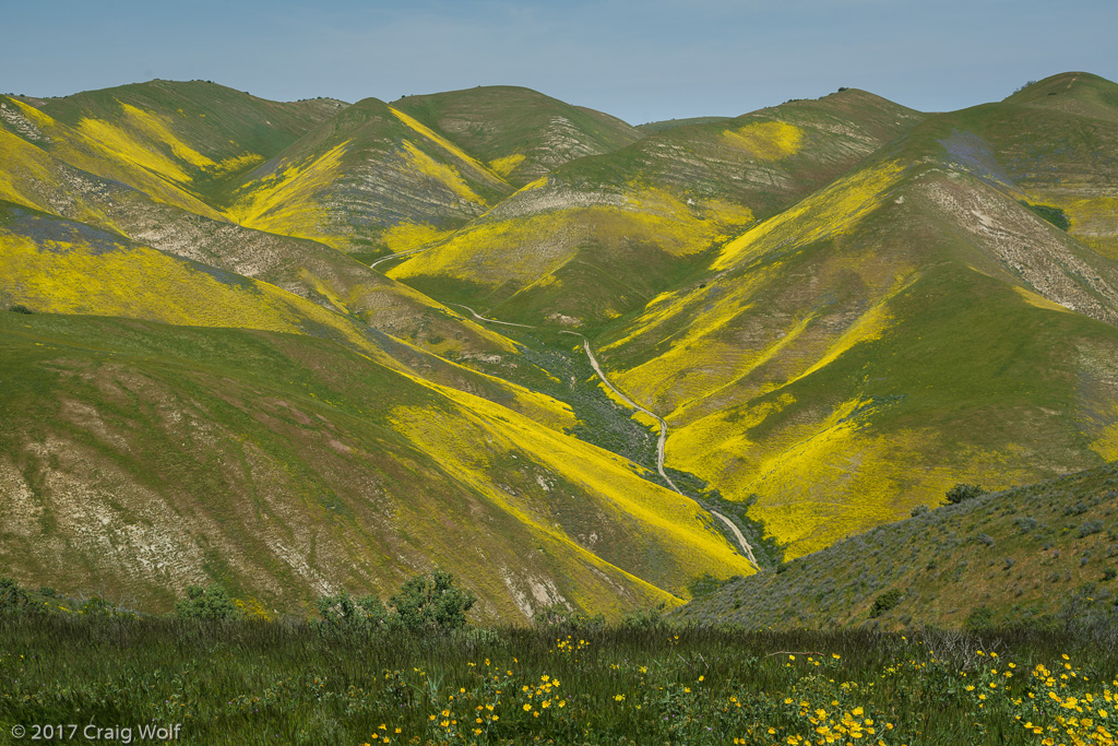 Carrizo Plain National Monument, CA