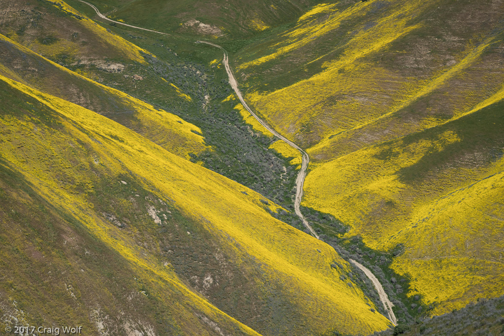 Carrizo Plain National Monument, CA