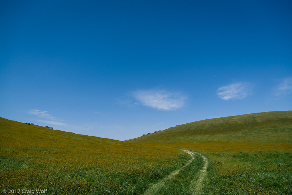 Carrizo Plain National Monument, CA