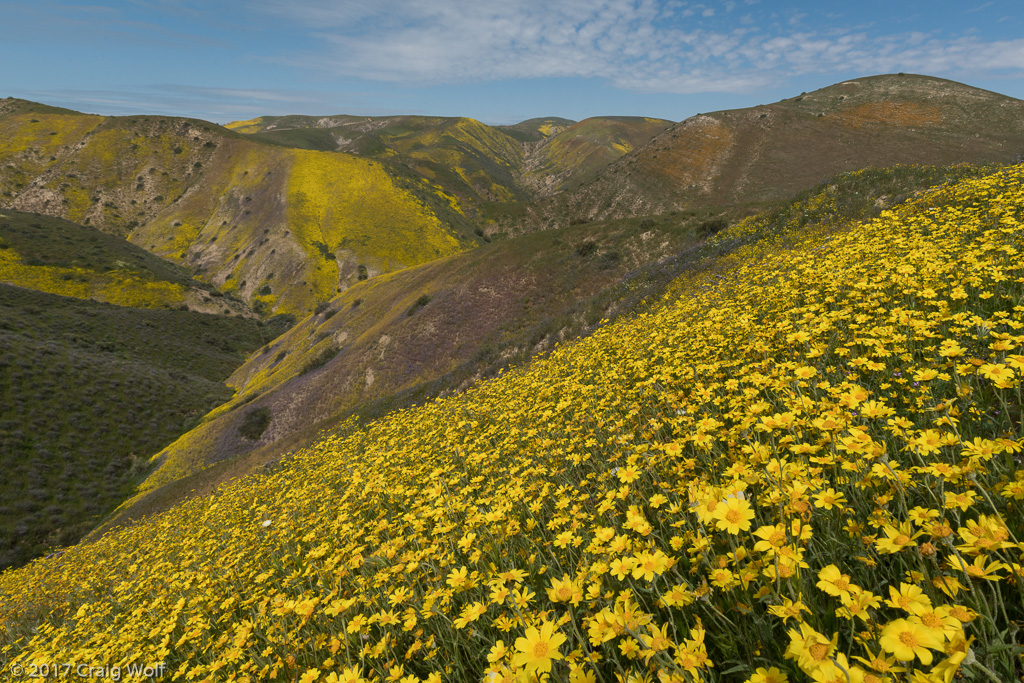 Carrizo Plain National Monument, CA