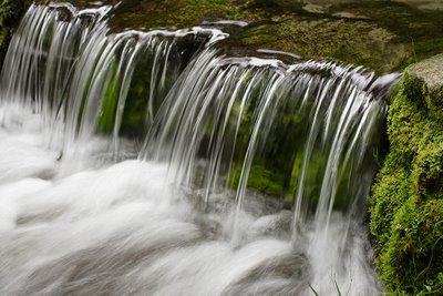 Yosemite - Fern Springs