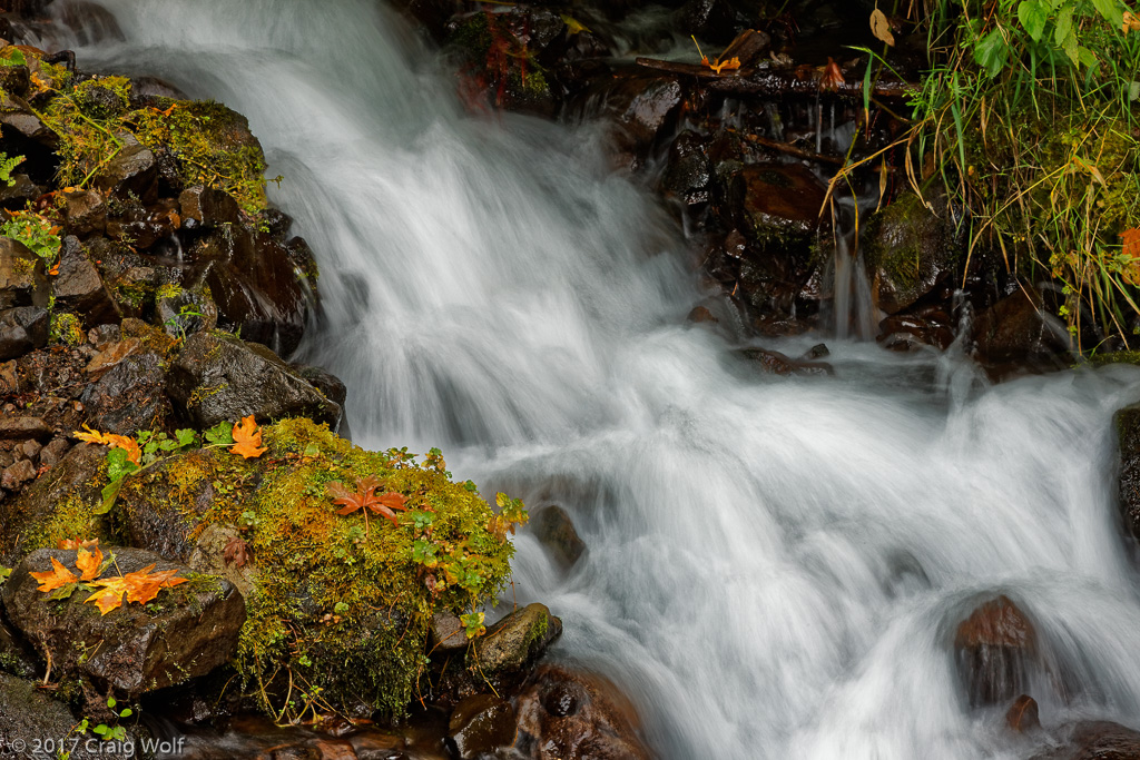 Wahkeena Falls, OR