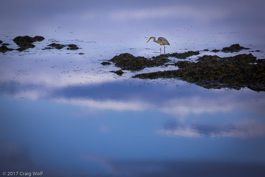 Bandon, OR