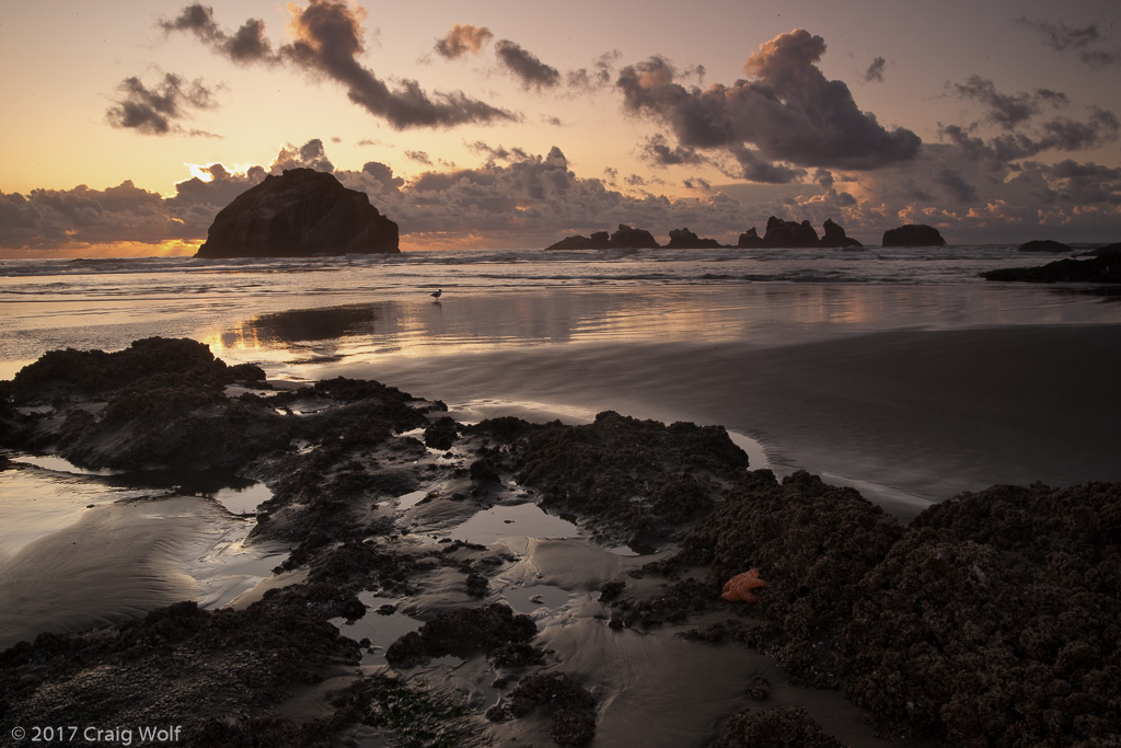 Bandon, Oregon