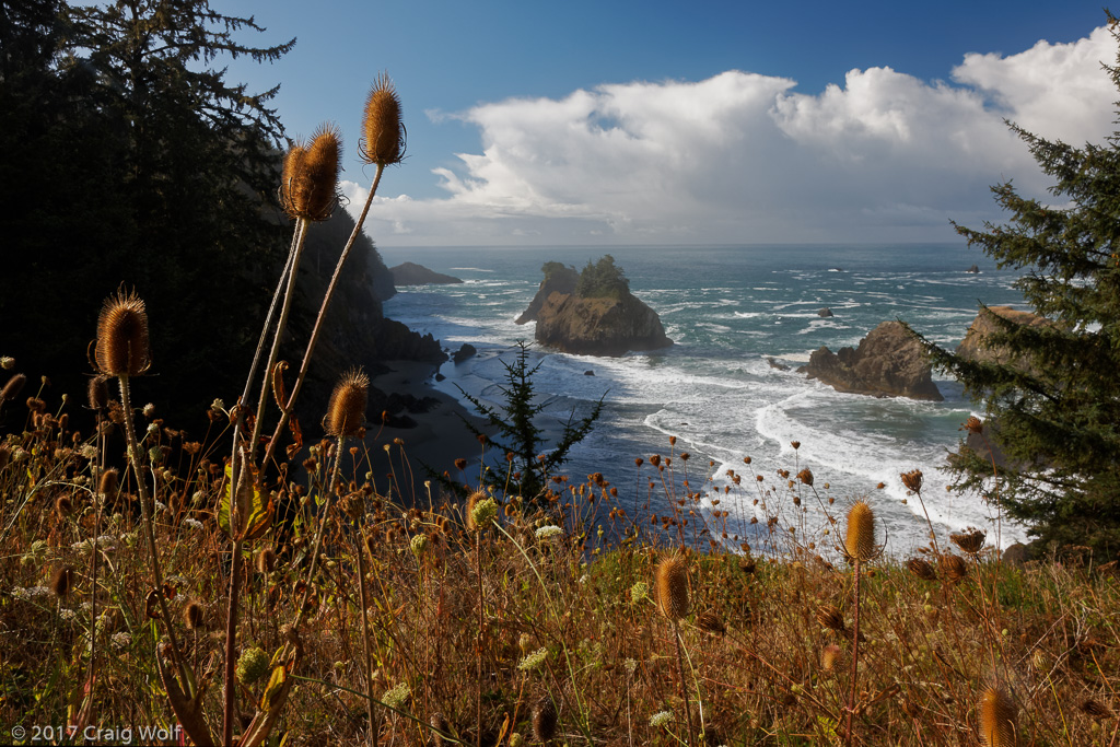 Oregon Coast