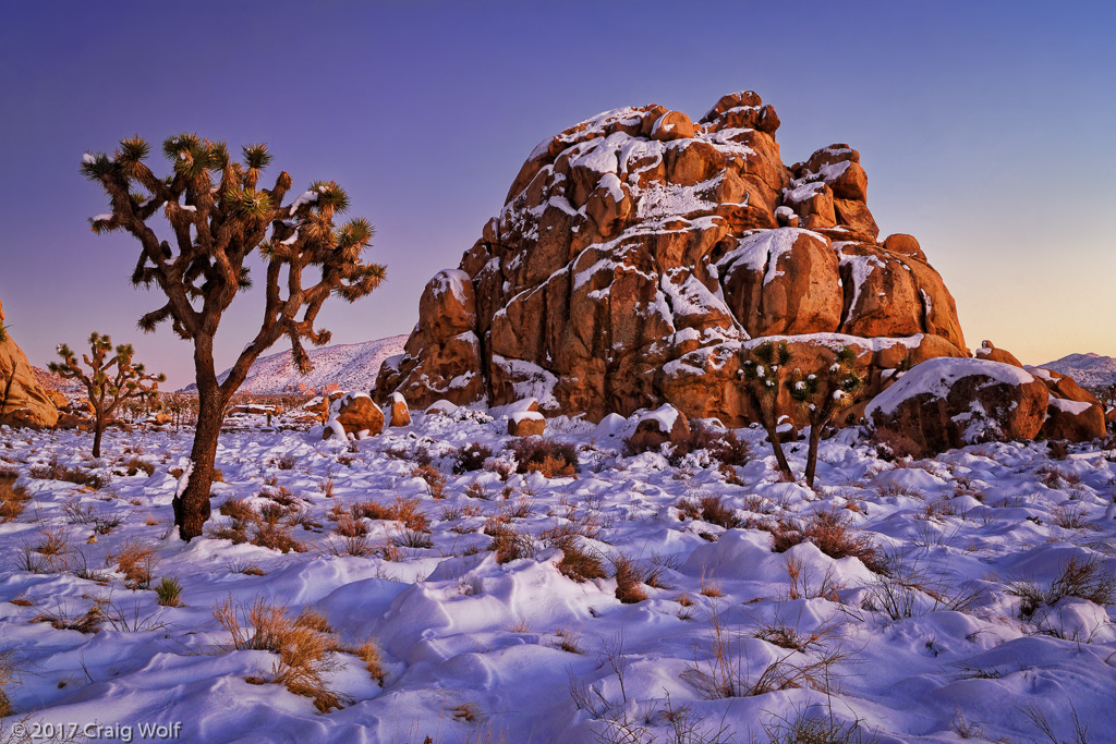 Joshua Tree National Park, CA