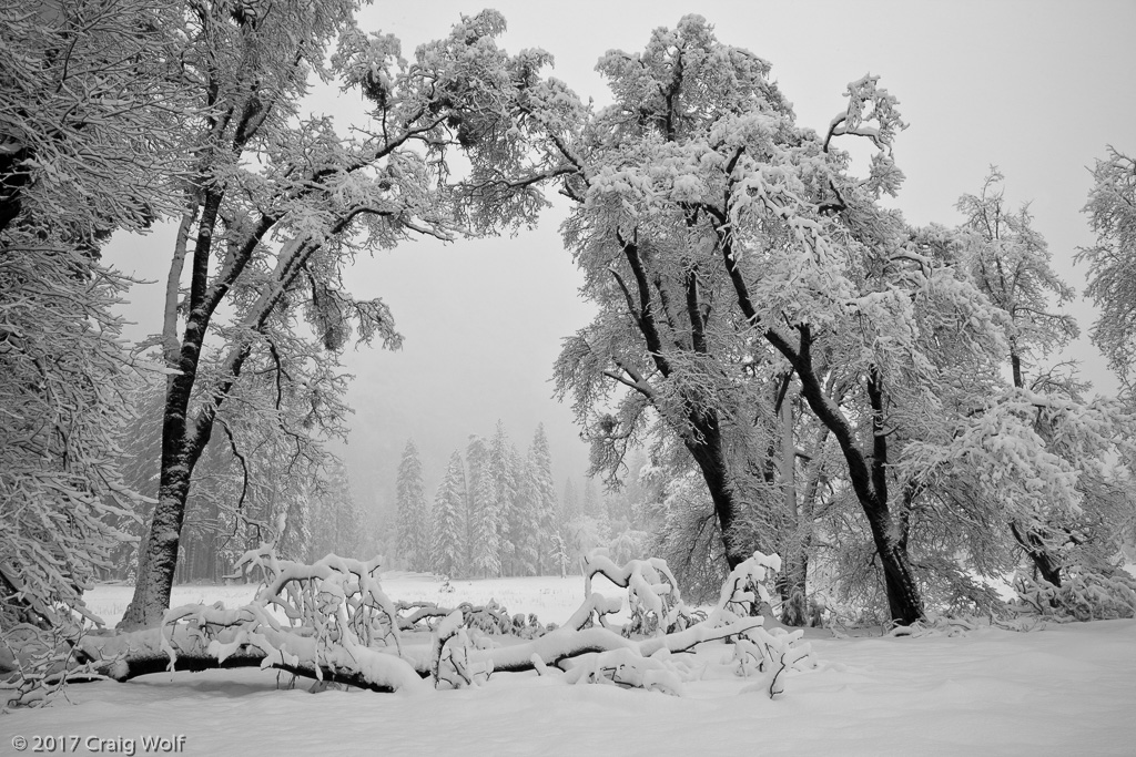 Yosemite National Park, CA