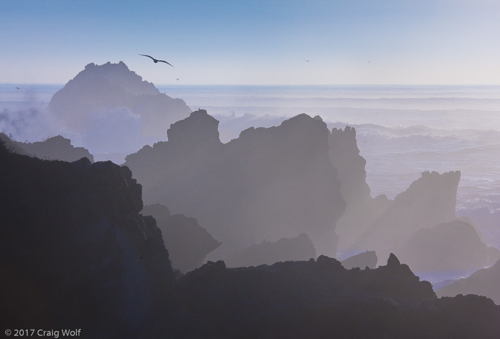 Point Lobos State Natural Reserve, CA