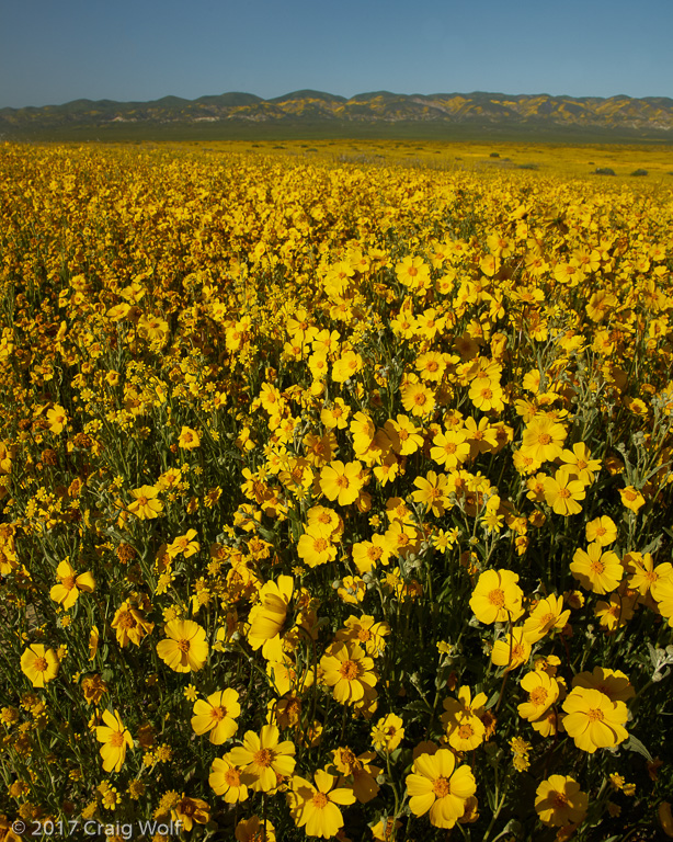 Carrizo Plain National Monument, CA