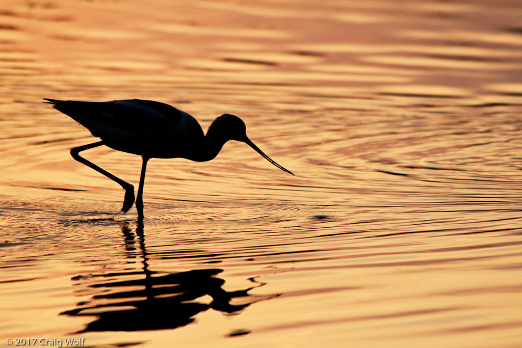 Malibu Lagoon, CA