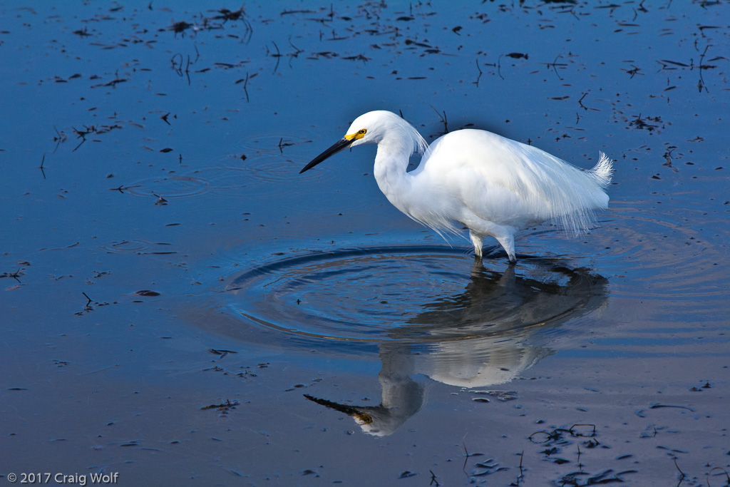 Malibu Lagoon, CA