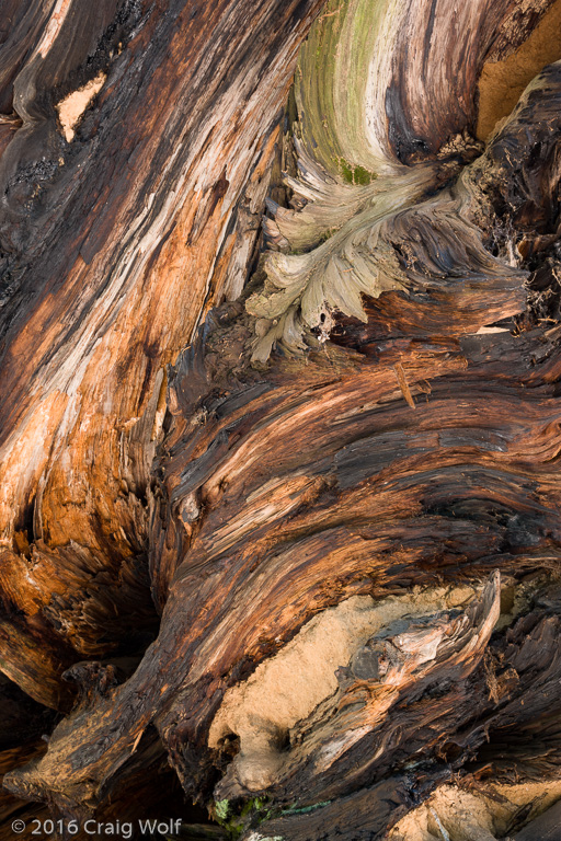 Sequoia National Park, CA