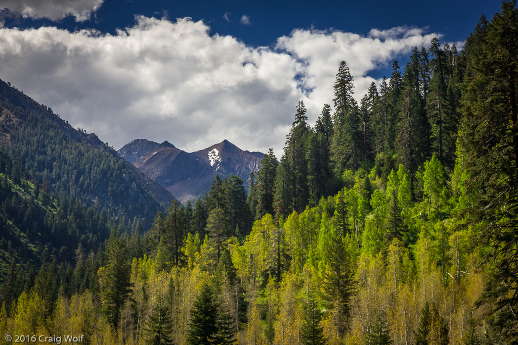 Sequoia National Park, CA